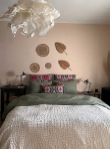 Mosquito Guest House 2