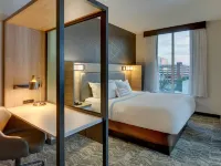 SpringHill Suites Birmingham Downtown at UAB Отели рядом с достопримечательностью «Научный Центр МакУэйн»