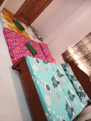 Aremen Transient, Nipa Hut with shared main house's bathroom