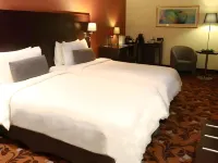 Babylon Rotana Hotel Hotels in Baghdad
