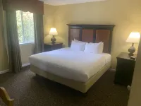 Tranquility and Adventure Awaits in Williamsburg, VA Hotels near Busch Gardens Williamsburg