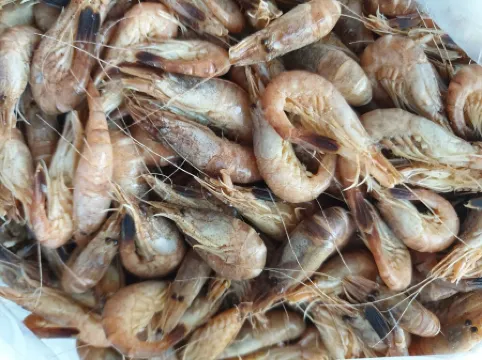 2-Room Apartment in the First Row on Pearl Bay