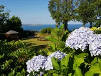 One Bedroom Apartment with Private Balcony and Sea Views