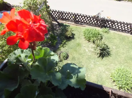 Apartment in the pearl of the Uckermark