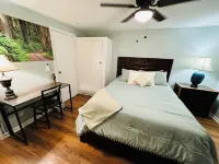 The Shamrock Creekside Cottage- ONE BLOCK FROM DOWNTOWN & on the CREEK! Hotels in Silverton