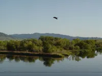 Freshly Remodeled 2 Bedroom, Full Kitchen, living Room Suite, in Cascade unit #1