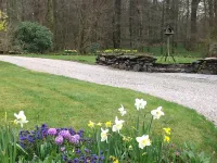 Tulip Cottage ideal Riverside Location, Lake District  Park,withlog burner. Hotels in Whitwell and Selside