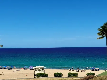 Hawaiian Family Paradise Retreat – Near Beach & Golf! Отели рядом с достопримечательностью «Waikoloa Dry Forest Initiative»