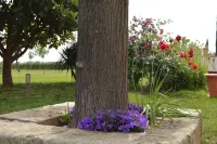 Bio Resort Mediterraneo