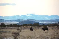 Beautiful Mountain Views, Beamed Ceilings, 2 Fireplaces