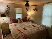 Newly built cabin in cozy wooded setting