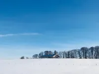 Hof Kaltenbrunn - modern apartments in the countryside 아잉 호텔