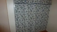 Lexington Apt. with parking & private entrance Preview listing