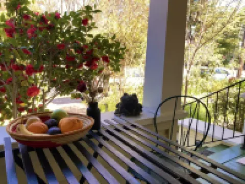 The Roost - Sun Room