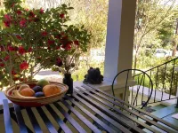 The Roost - Sun Room