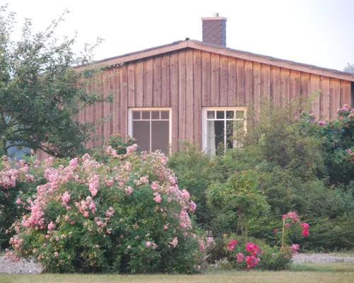 Idyllic vacation home on the Baltic Sea with sauna and fireplace 申貝格住宿飯店
