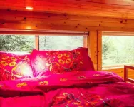 Luxury Tiny Home. Brew Ridge. Trail. Ski. Wineries