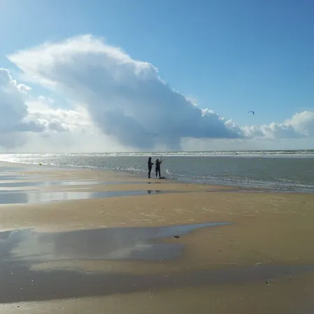 Cottage by the sea and close to the town center in Cabourg.