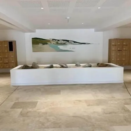 Superb T3 air-conditioned seafront with beach access in the center of Propriano.