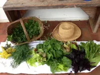 Beautiful Cozy Immaculate cottage