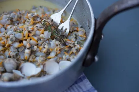 NOMADE FISH: Fisherman's house 50 m from the sea