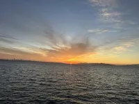 Spacious Home near Downtown San Leandro Hotels in San Leandro