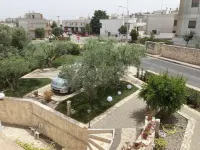 The five olive trees
