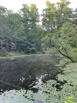 Cabin with Pond on 6 Private Acres --1.5 miles from Montauk Park, Near Salem