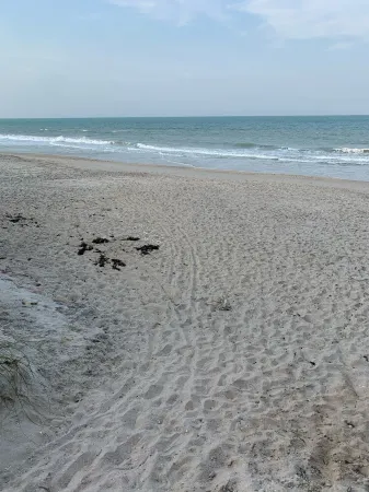 Unwind at Our Beautifull Dog Friendly Beach with Private Access!