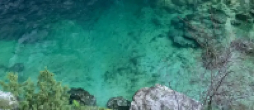 Chez_vanilles_des_isles