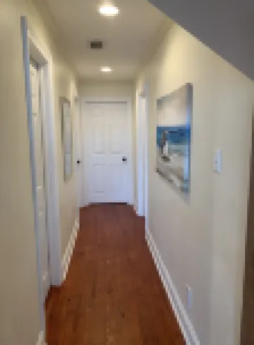 Twin Cypress on False River