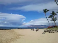 Newly Redecorated Ocean Front Condo Hoteles cerca de Ulua Beach