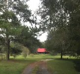 Log Cabin near Ocala and World Equestrian Center ideal for family retreats.