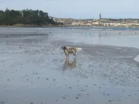 Sea and sand in large screan. Hotels in Douarnenez