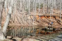 Escape to Paradise: Breathtaking Log Cabin with Panoramic Mountain Views