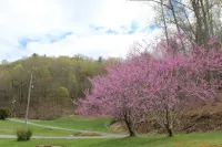Scenic cabin near Hungry Mother, Mount Rogers, and Grayson Highlands Parks