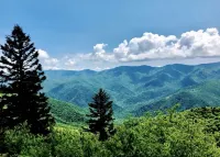 Cattail Creek, Hiking, Fishing, Creeks,Fireplace, Mtns, Scenic Views, WiFi