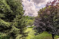 Cozy Cabin Close to Boone, Sugar Mountain, Banner Elk, Beech, and Blowing Rock