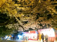 Yadomachi Sakura Hotels in Hakodate