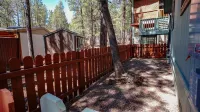 SPECTACULAR COZY CABIN NESTLED IN THE PINES BIG FRONT DECK FENCED FOR DOGS