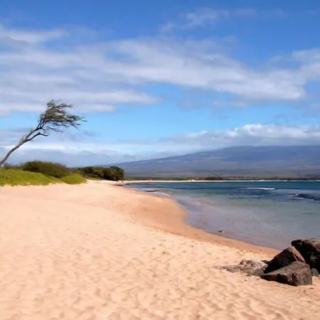 OCEANFRONT - TWO OCEANVIEW  bedrooms - 20 feet from water - Kanai a Nalu 401