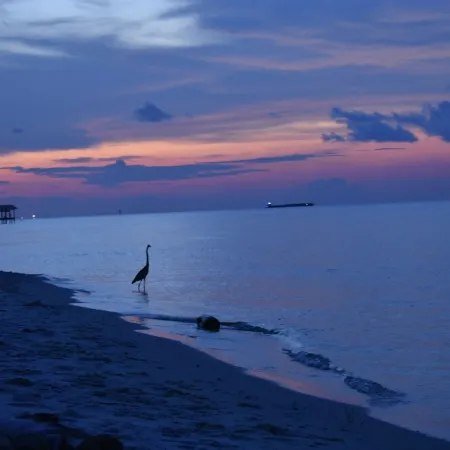 Soul Surfing II: Private Beach-Breathtaking Sunset Island Views