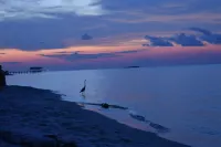 Soul Surfing II: Private Beach-Breathtaking Sunset Island Views - Bãi biển