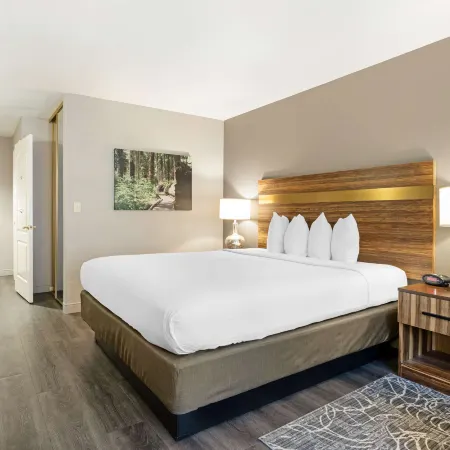 Best Western Cedar Inn  Suites