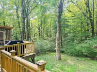 Get Cozy & take in the beauty of Groundhog Mountain @ the Cozy Doe!