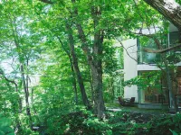 Coq Hotels near نهر تويوهيرا