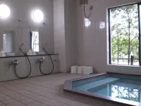 Binchotan no Yu Onoya Hotel Hoteles en Tagajō