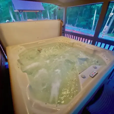 THUNDER RIDGE LODGE HAS AN AWESOME VIEW OF MT YONAH! Peace, privacy & seclusion.