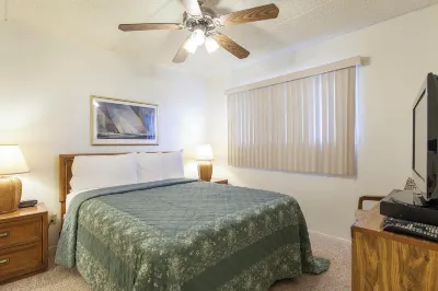 Padre Oasis #302