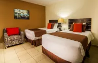 Hotel Marela Hotels near Metropolitan Cathedral of San Salvador